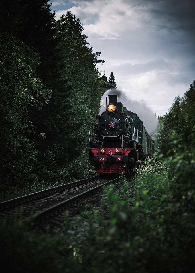 Steaming through Forests