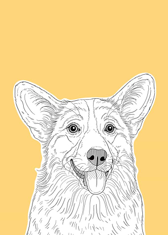 Cute Corgi Dog Portrait