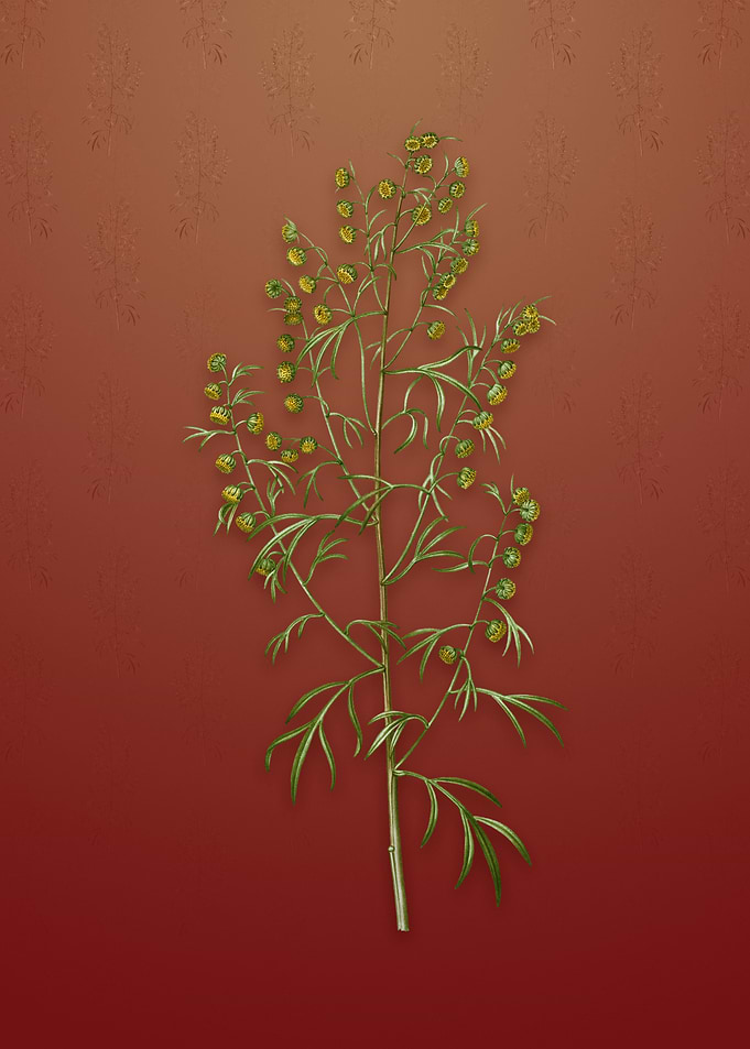 Vintage Madeira Wormwood