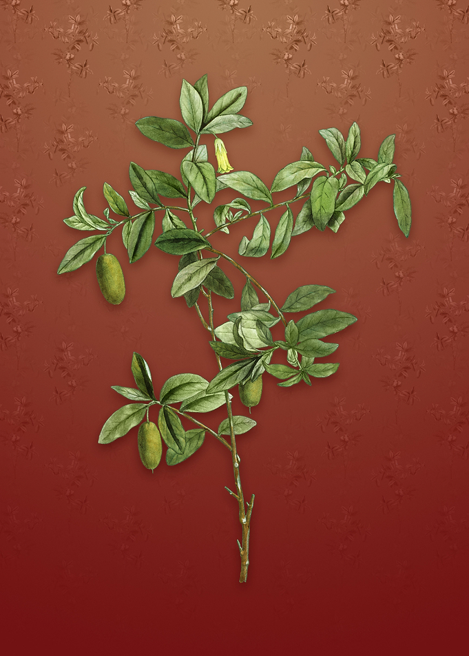Vintage Apple Berry on Red