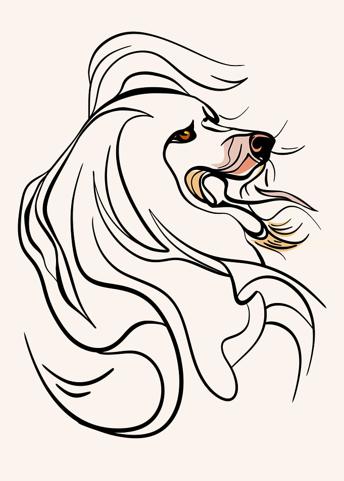 Samoyed Dog lineart