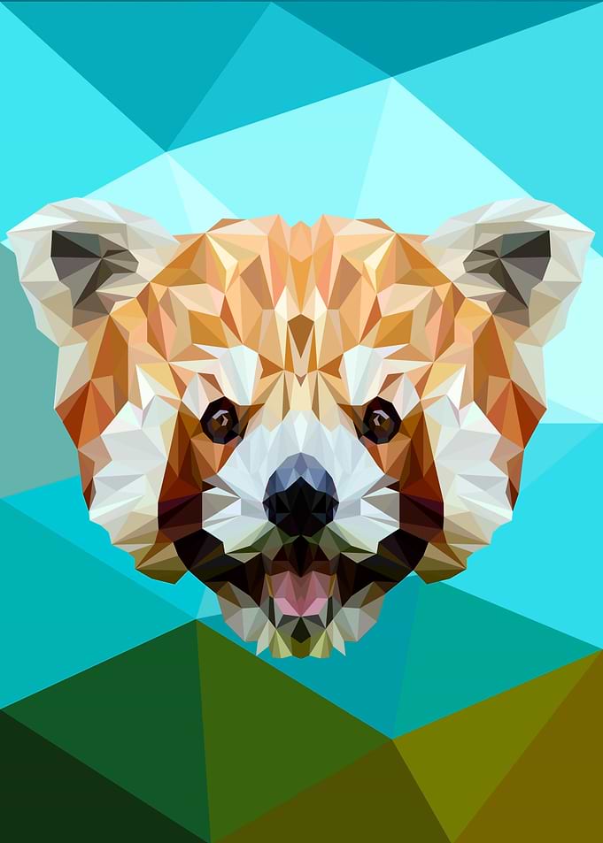 Red Panda