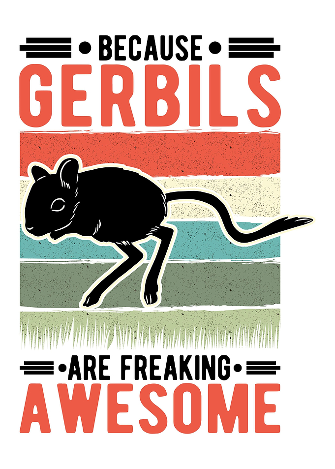 Gerbil Mongolian Racing Ra
