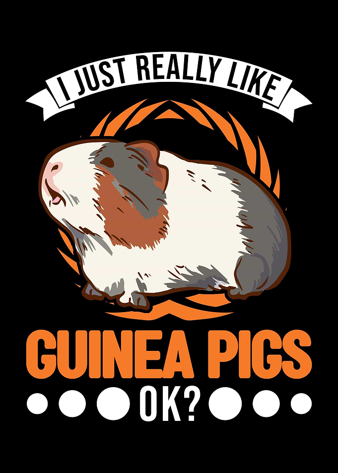 Guinea Pig Gift