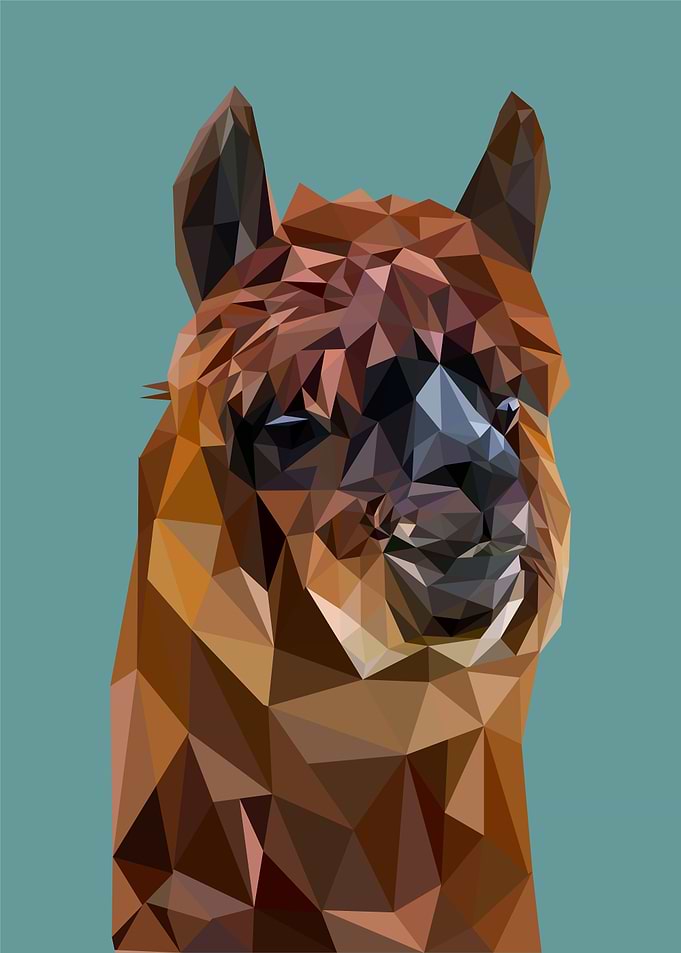 nursery animal alpaca