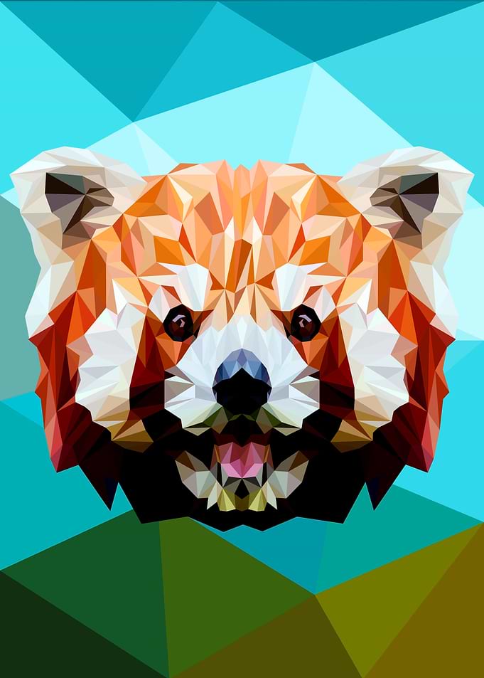 Red Panda