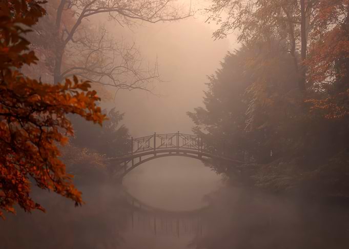 Autumn bridge and pond