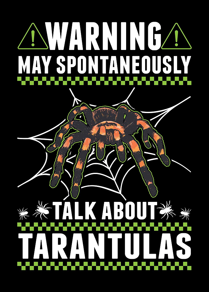 Tarantula Spider