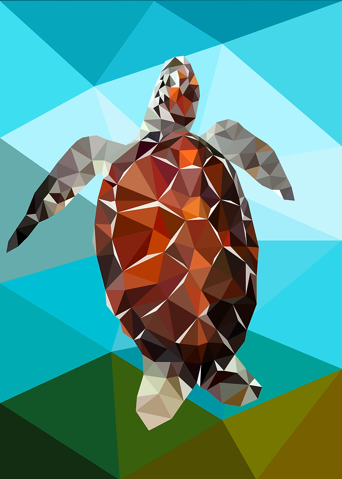 Turtle