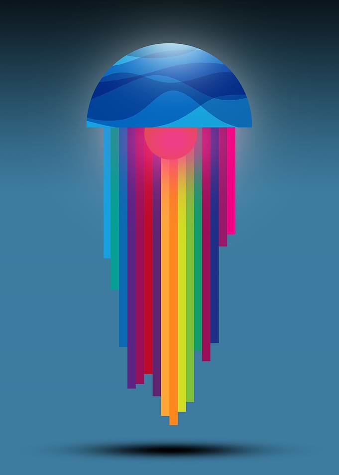 Geometric Jellyfish