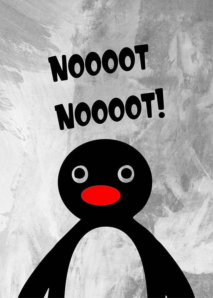 noot noot