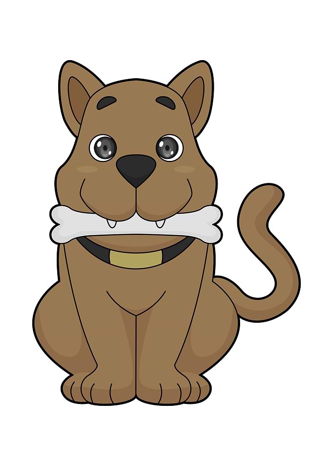 Dog Bone