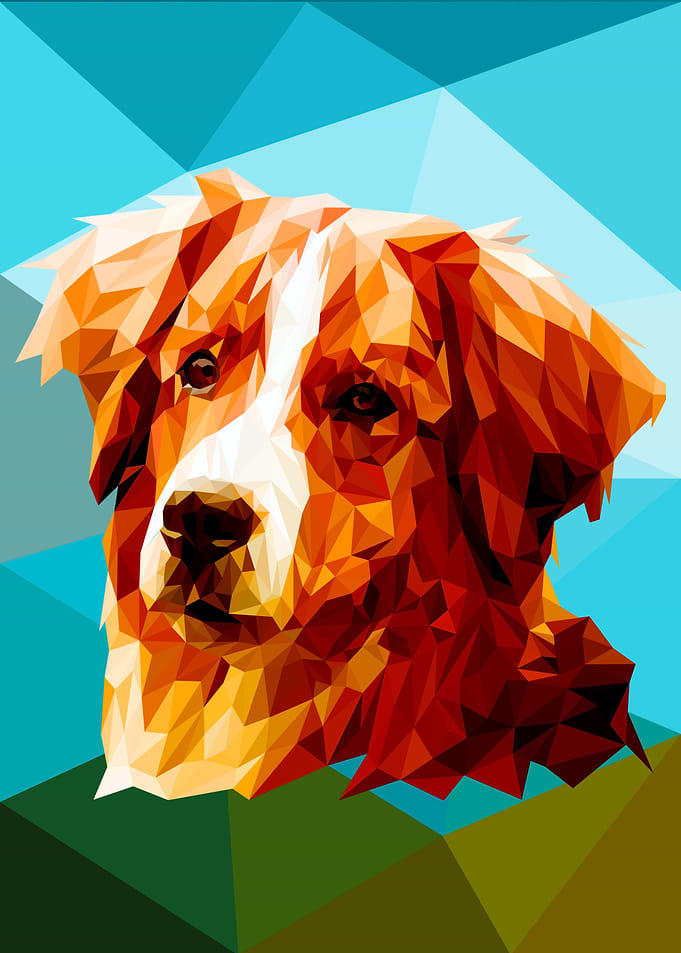Tolling Retriever