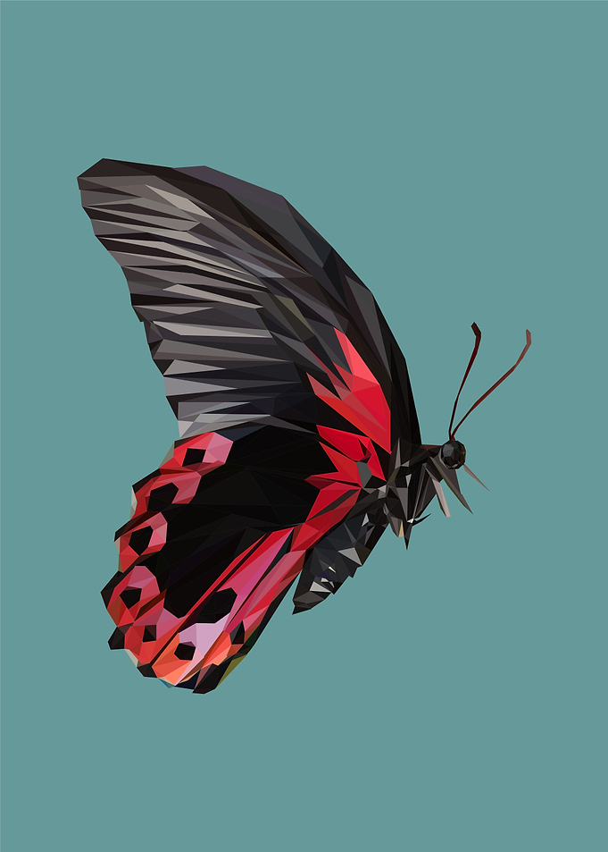 nursery animal butterfly