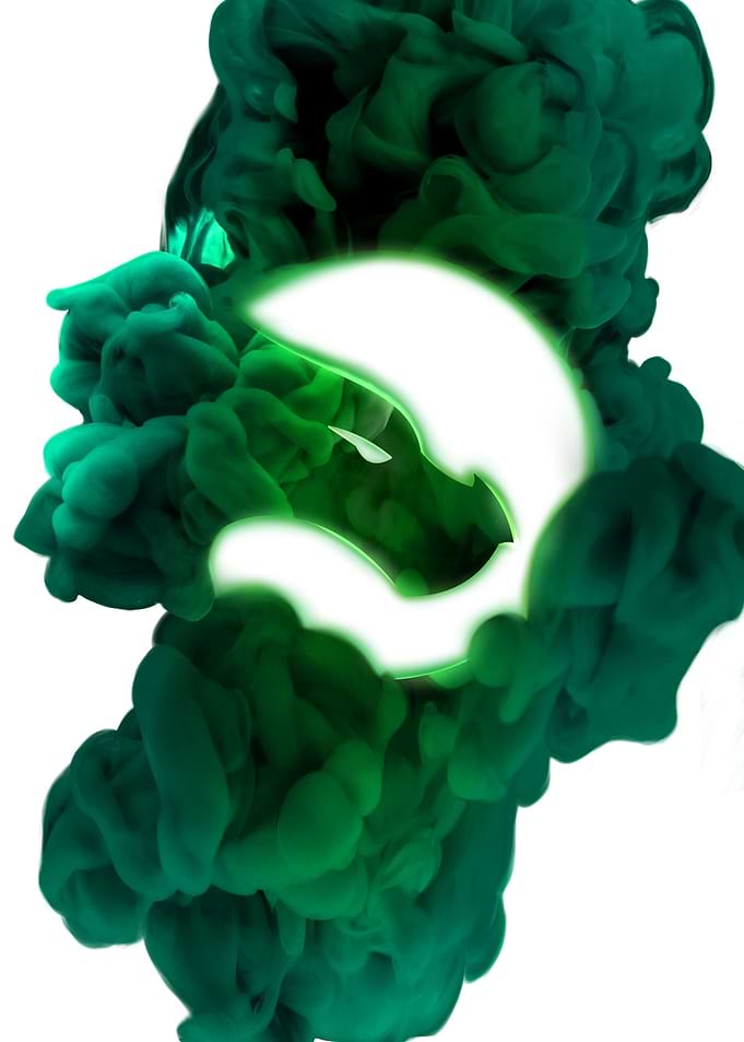 Echo Logo Green and White