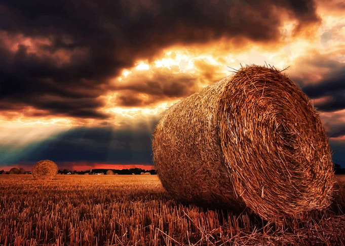 Beautiful sunset