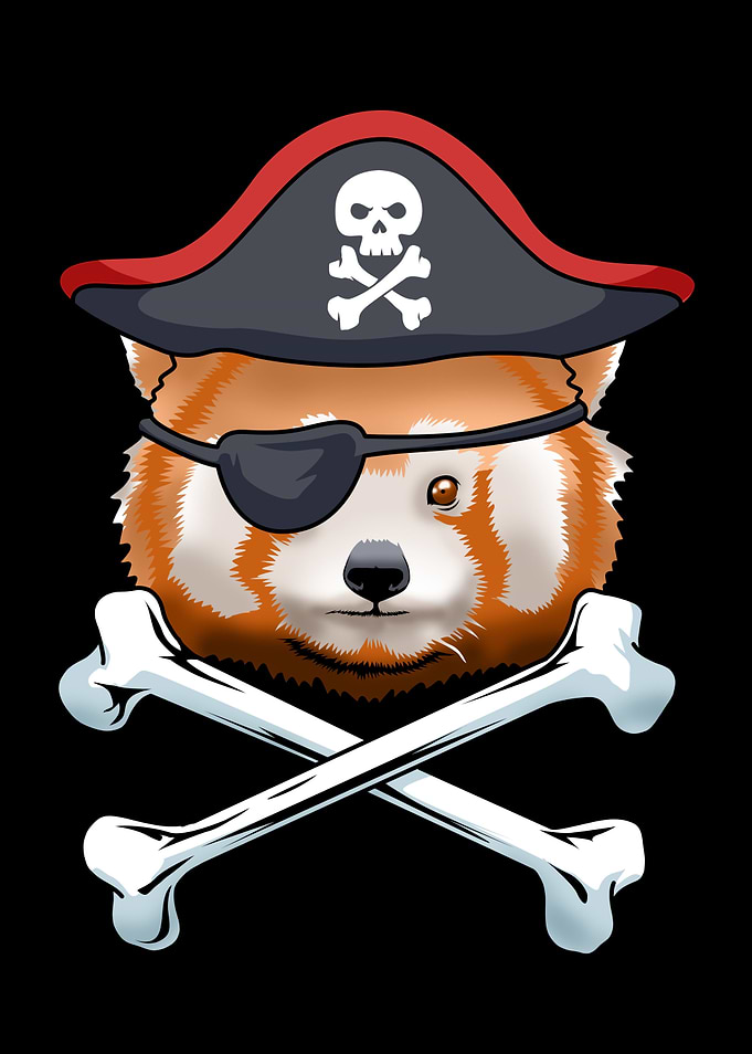 Red Panda Pirate Gift Kids
