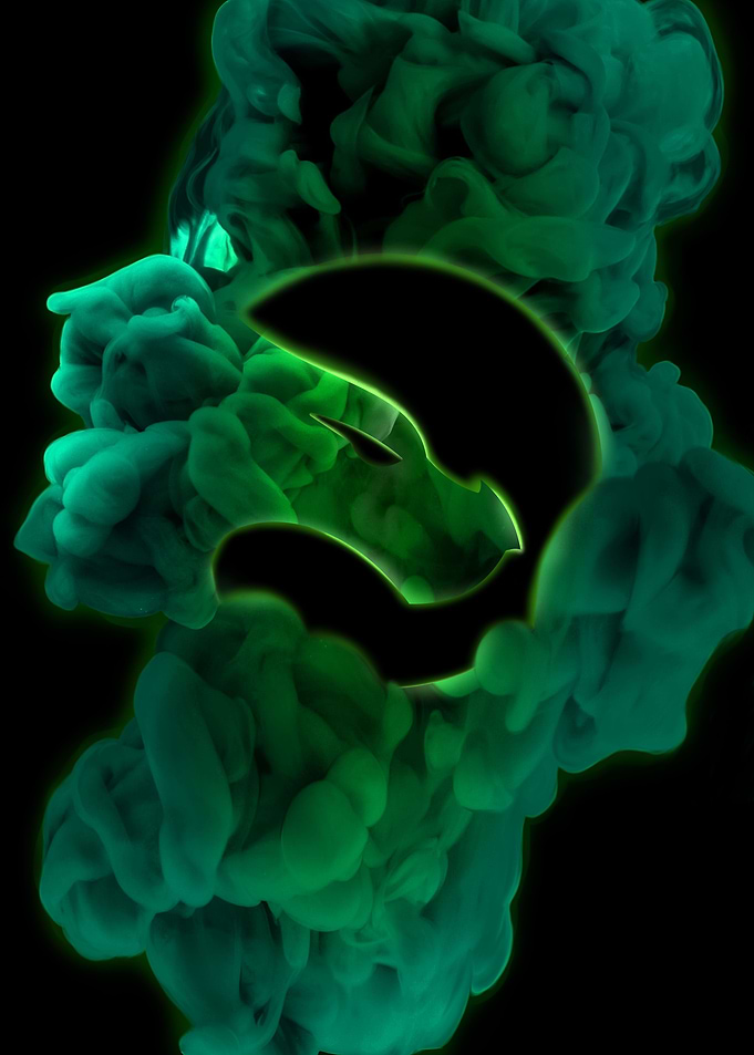 Echo Logo Green and Black