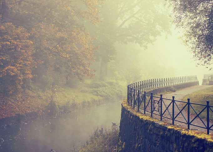 Autumn foggy lake in park