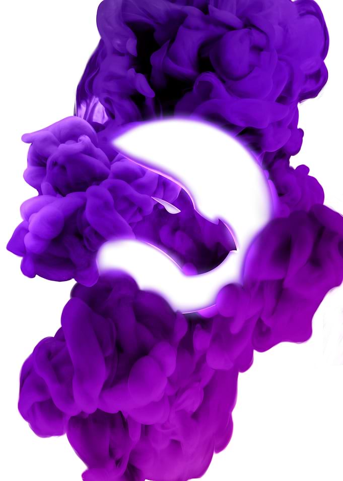 Echo Logo Purple