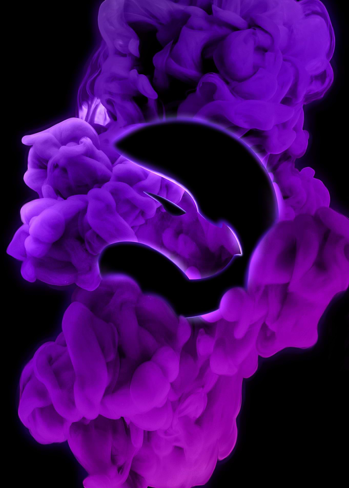 Echo Logo Purple