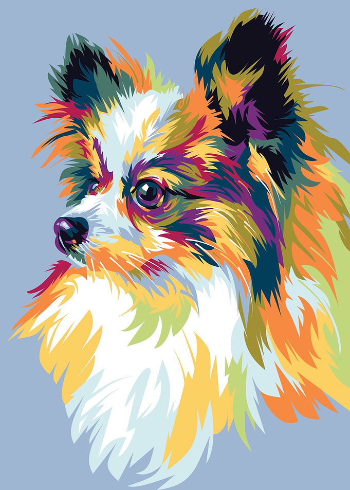 Chihuahua Long Haired