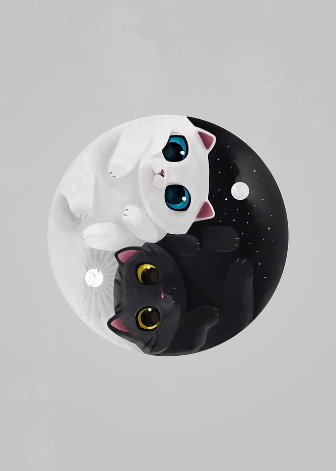 Cats Yin Yang