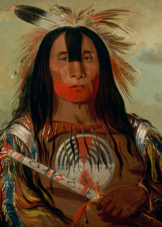 George Catlin Buffalo Bull