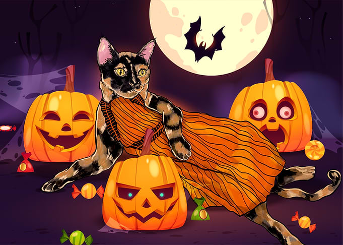 Midnight Pumpkin Cat