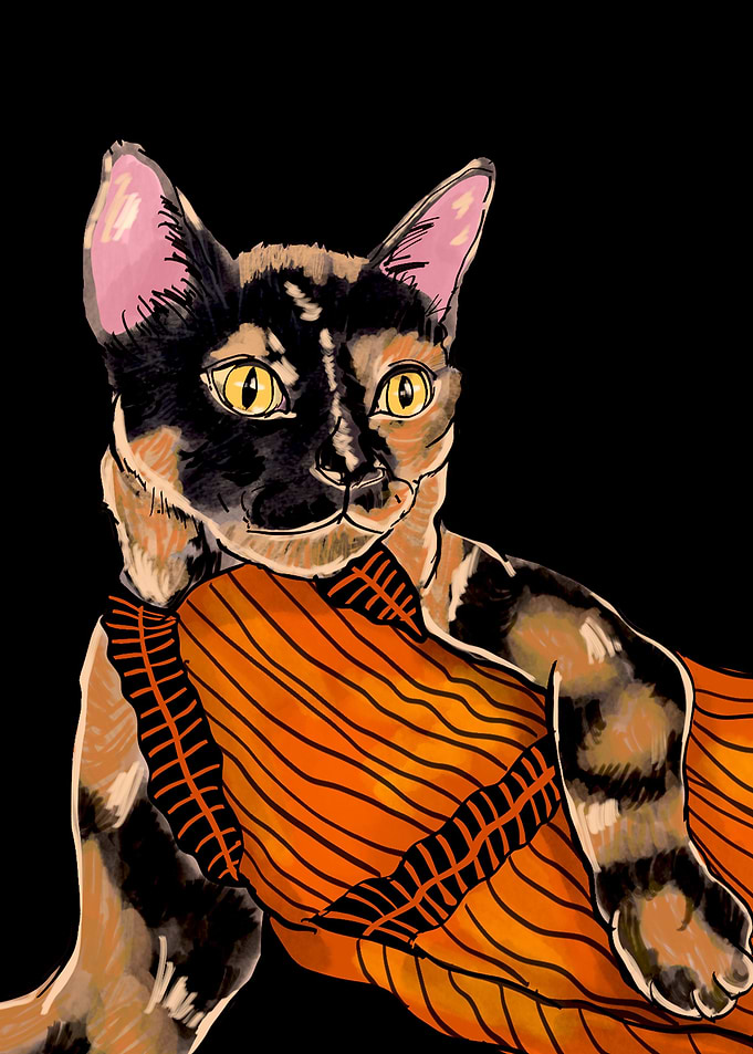 Halloween Cat