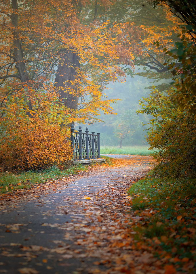Autumn path, bridge, park