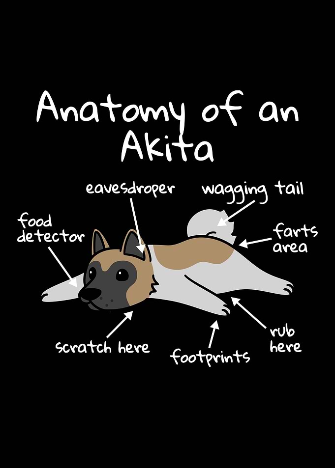 Anatomy Of An Akita