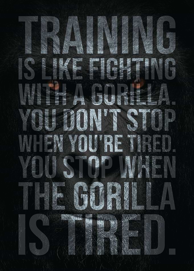 Fighting A Gorilla