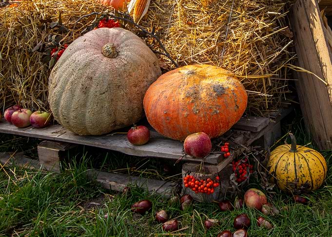 Pumpkins