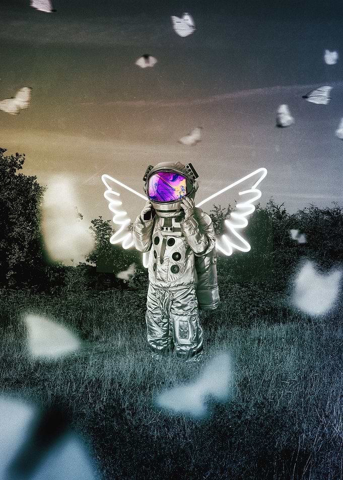 Butterfly Effect