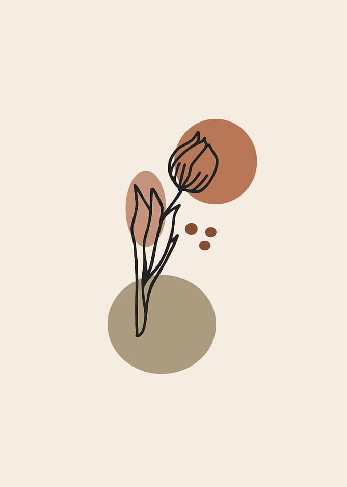 beautifuk tulip