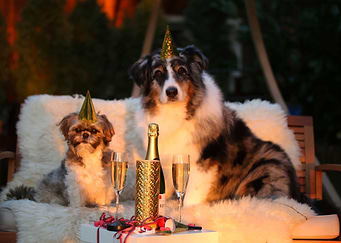 New Year spirit
