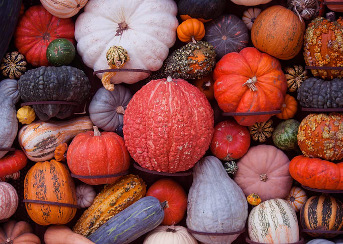 Autumn Vibes