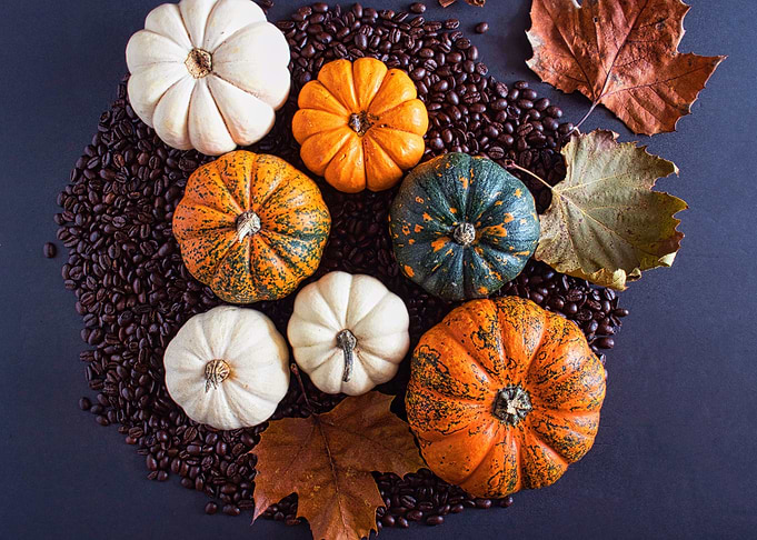 Autumn Vibes
