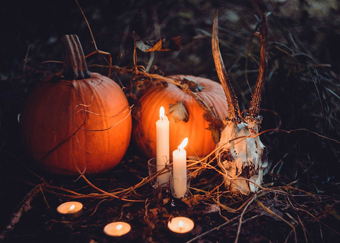 Autumn Vibes
