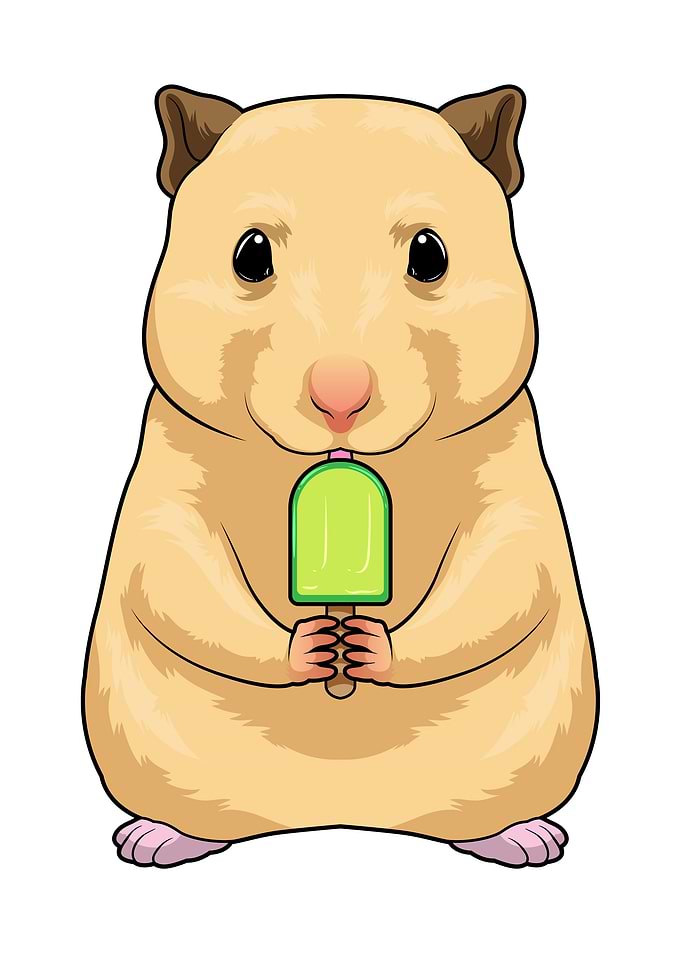 Hamster Popsicle