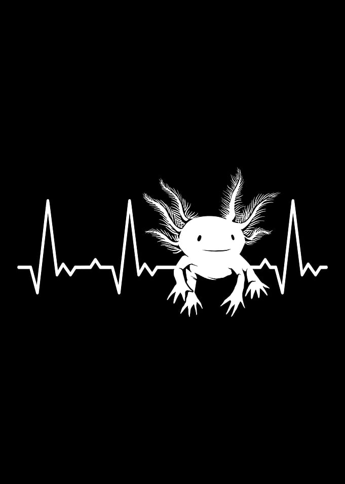 Heartbeat Axolotl