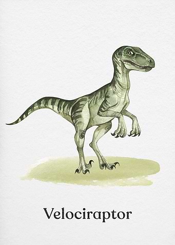 Velociraptor