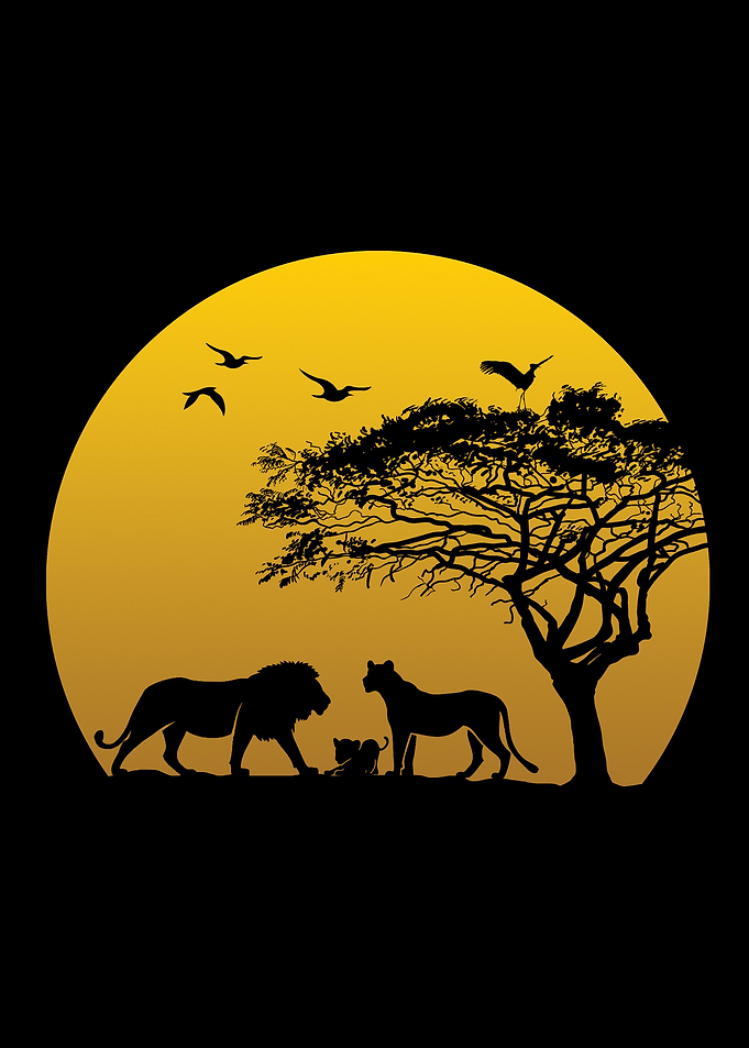 Lion Family Sunset