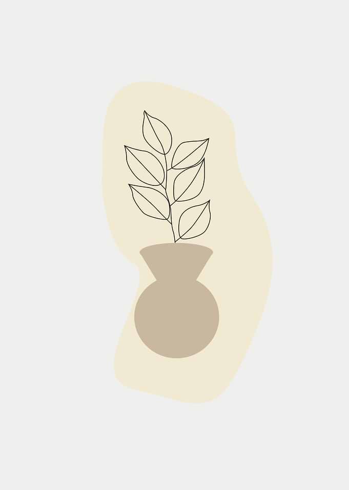 plant and vase