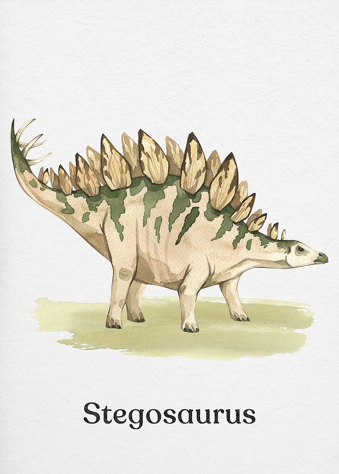 Stegosaurus