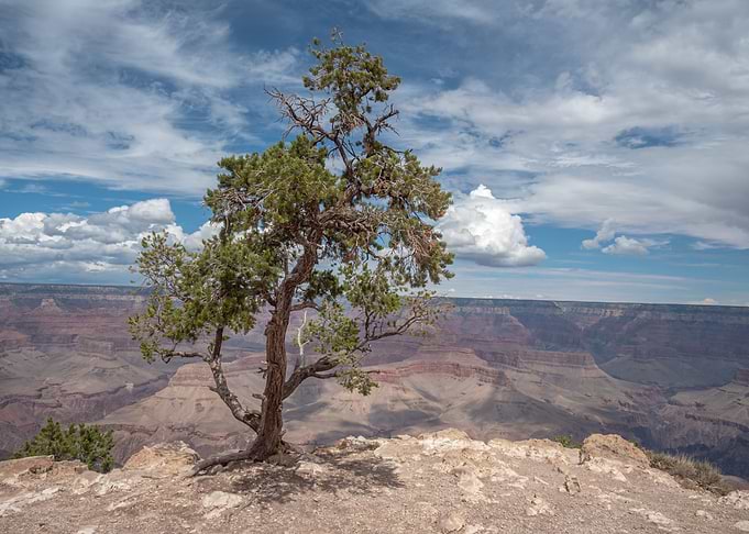 Grand Canyon NP