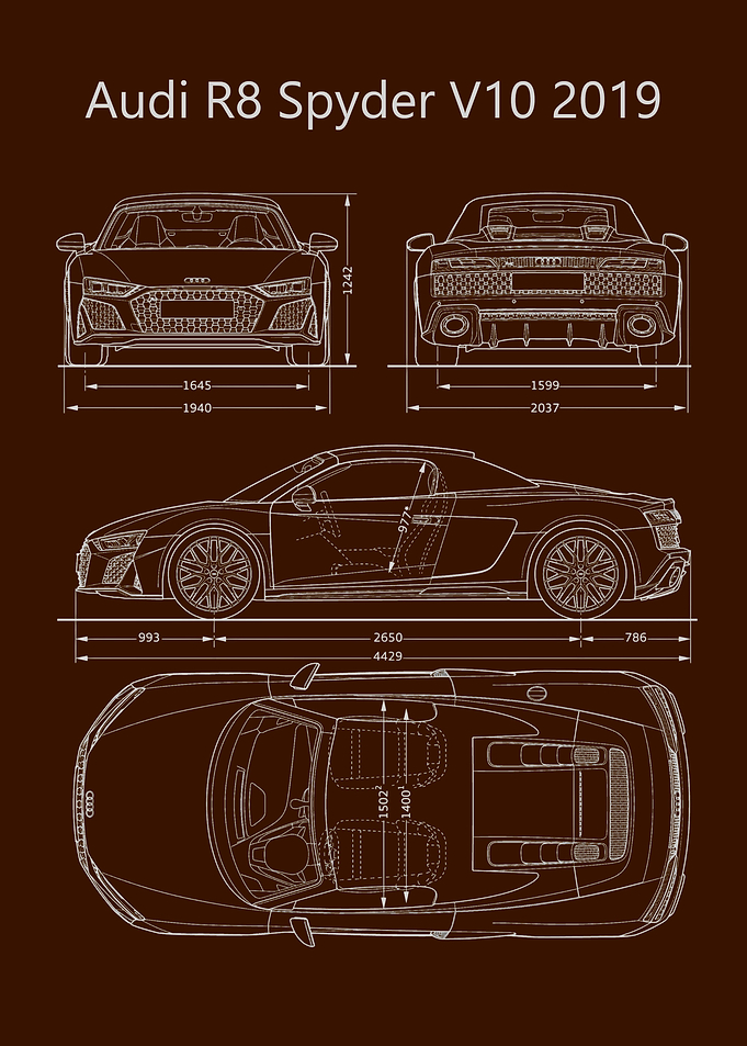 Audi R8 Spyder V10 2019