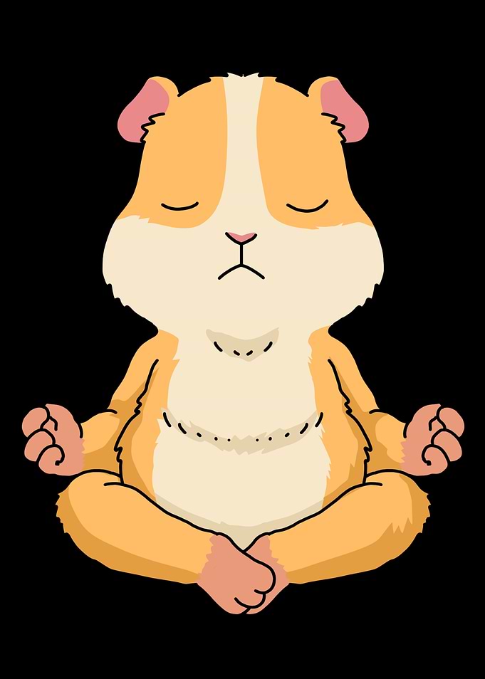Guinea Pig Meditation Yoga