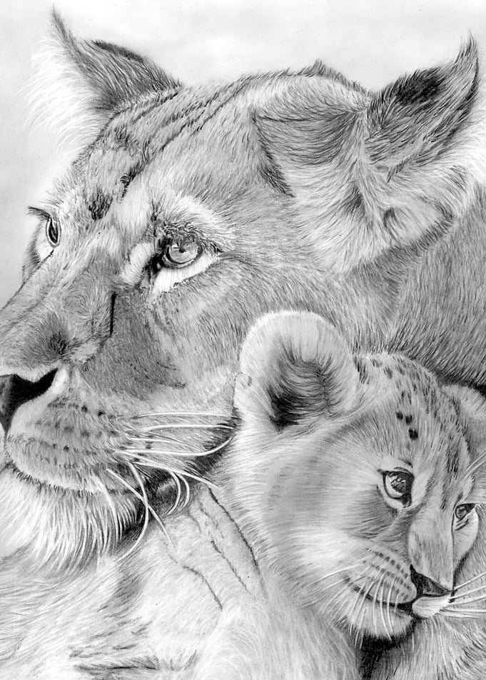 Mother Cub